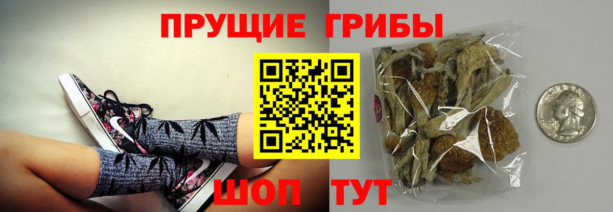 Галлюциногенные грибы ЛСД  Вход с VPN  Псилоцибиновые грибы Psilocybine cubensis  где продают наркотики  Нерюнгри 